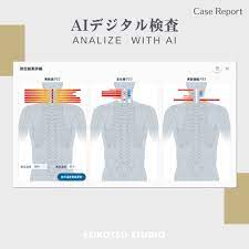 アトラゲージの解析画面写真